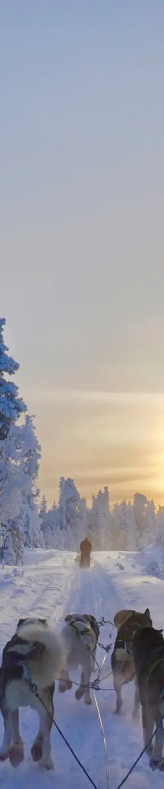 Klassische Lappland-Winter-Tour perfekt für Einsteiger